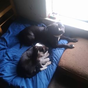 Meet your Posher, Wayne